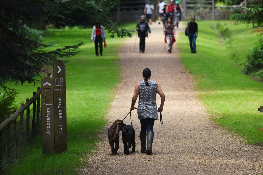 Blackwater Arboretum