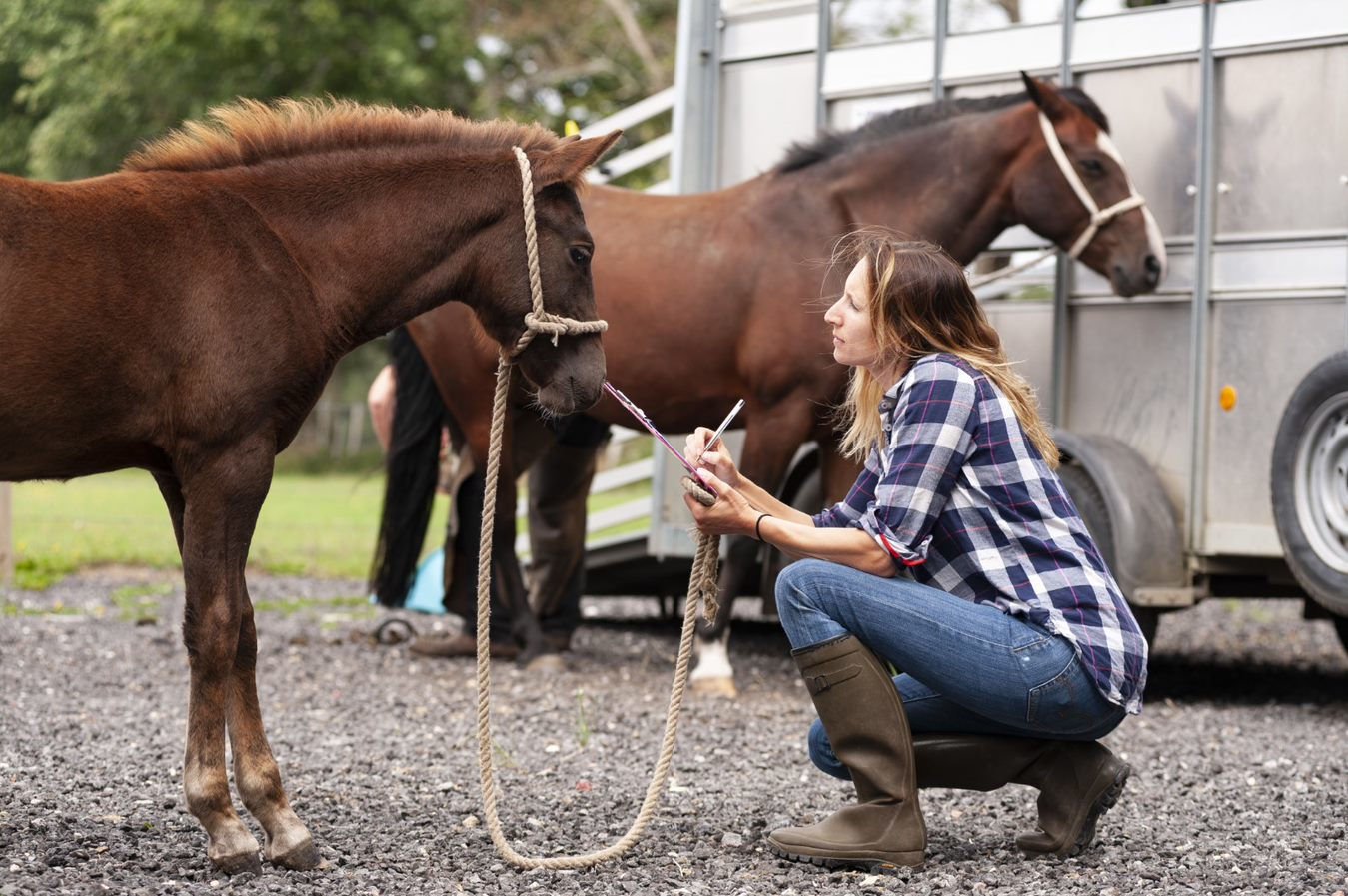 Women taking notes looking at foal