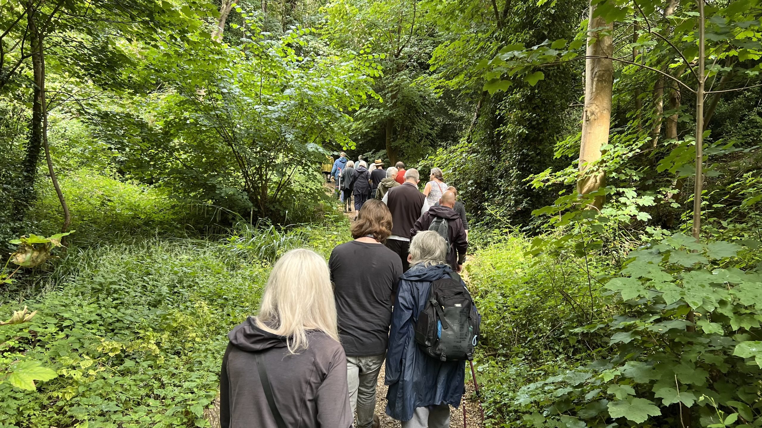 A group walks through nature on the Shoreburs Greenway