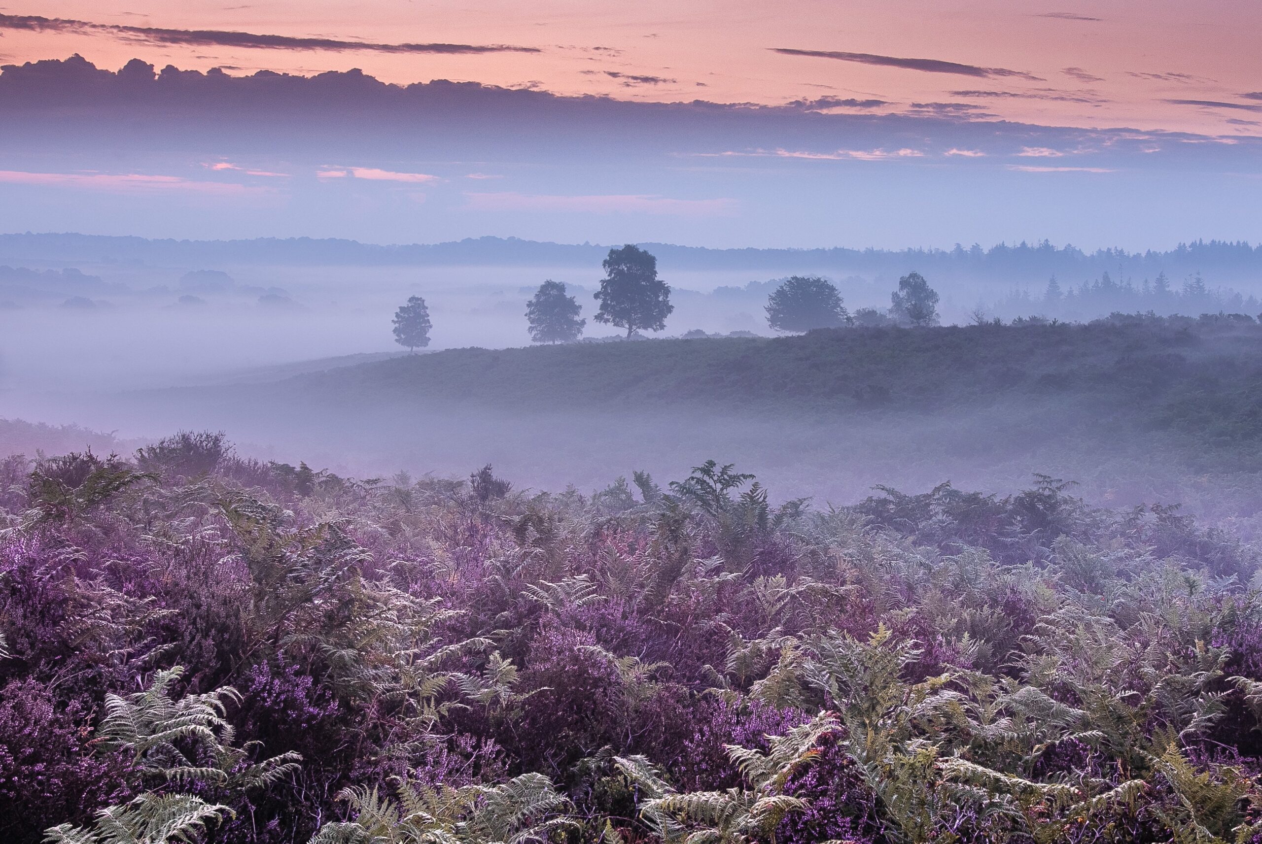 Photo taken by Christine