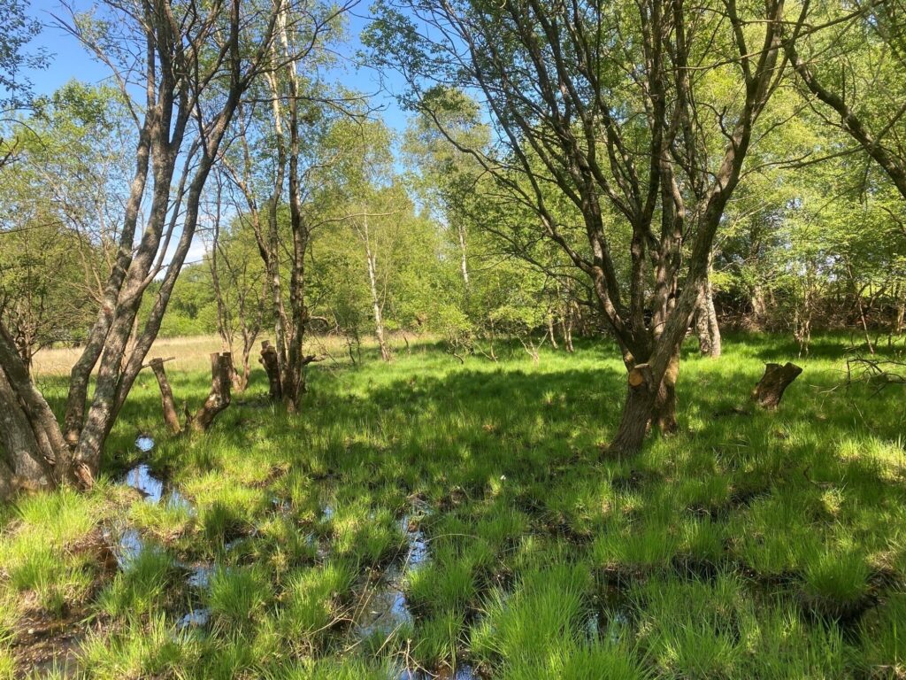 Landford & Hamptworth