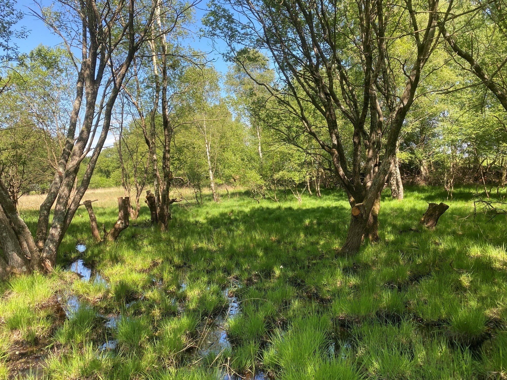 Landford & Hamptworth