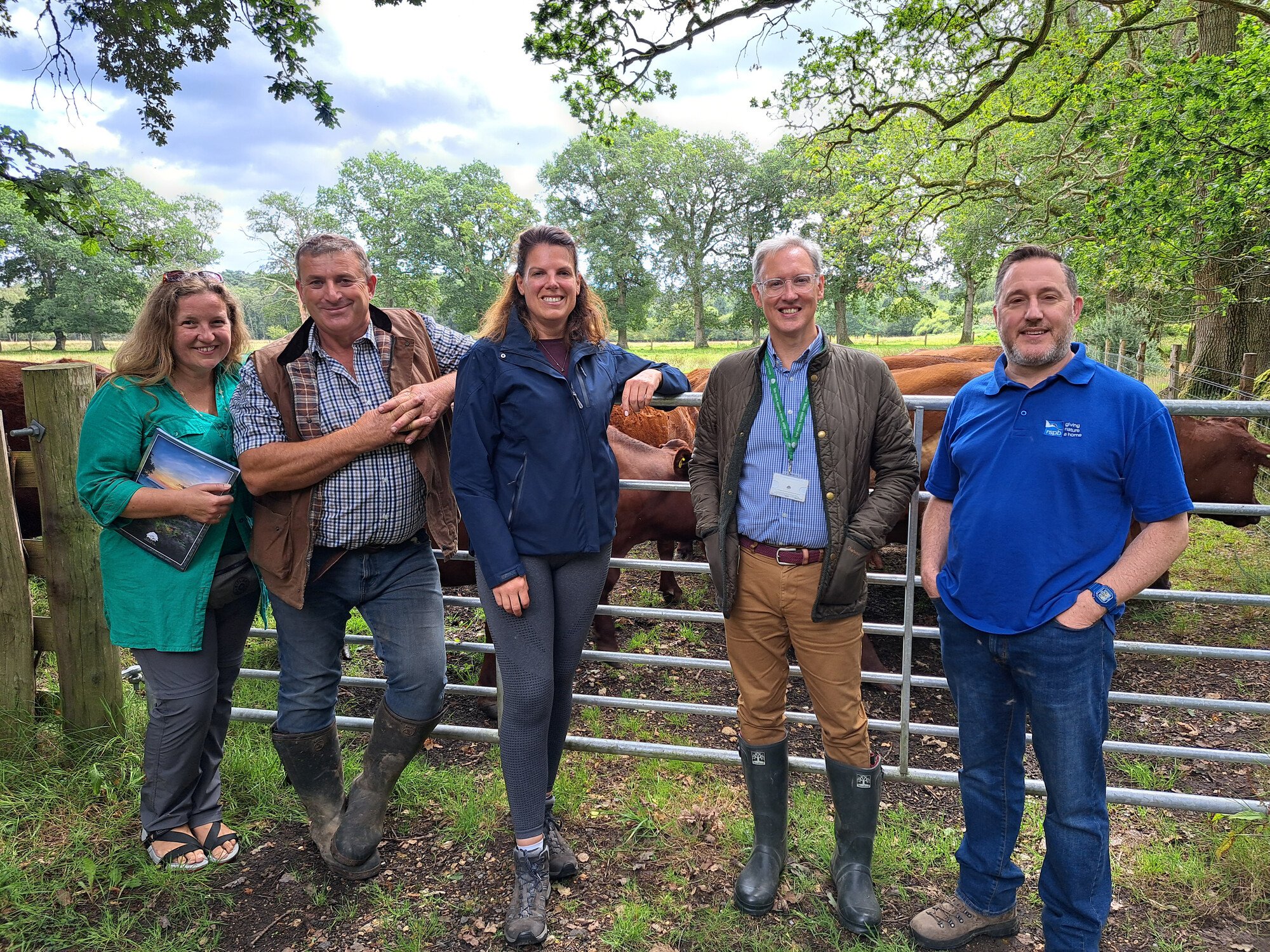 Group of people leaning on fence with cows behind