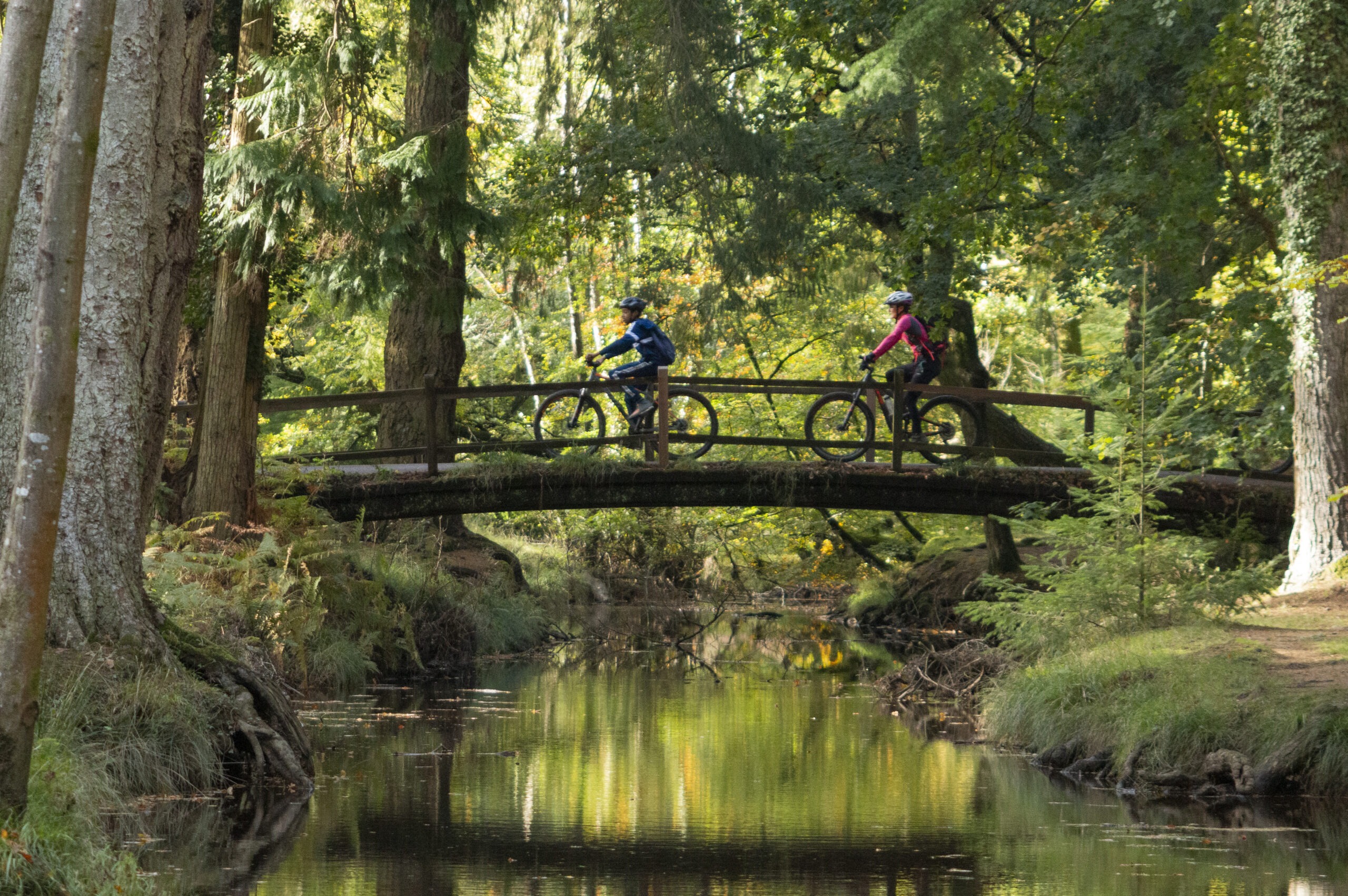 Two cyclists in helmets ride across a wooden bridge over Flechs Water, surrounded by autumn trees