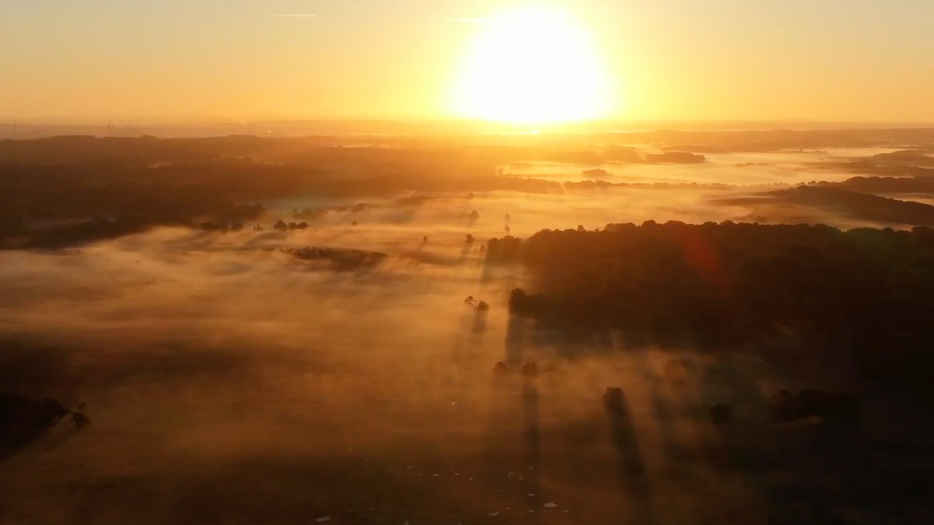 Sunrise over a foggy valley, with golden light casting long shadows across tree-lined fields