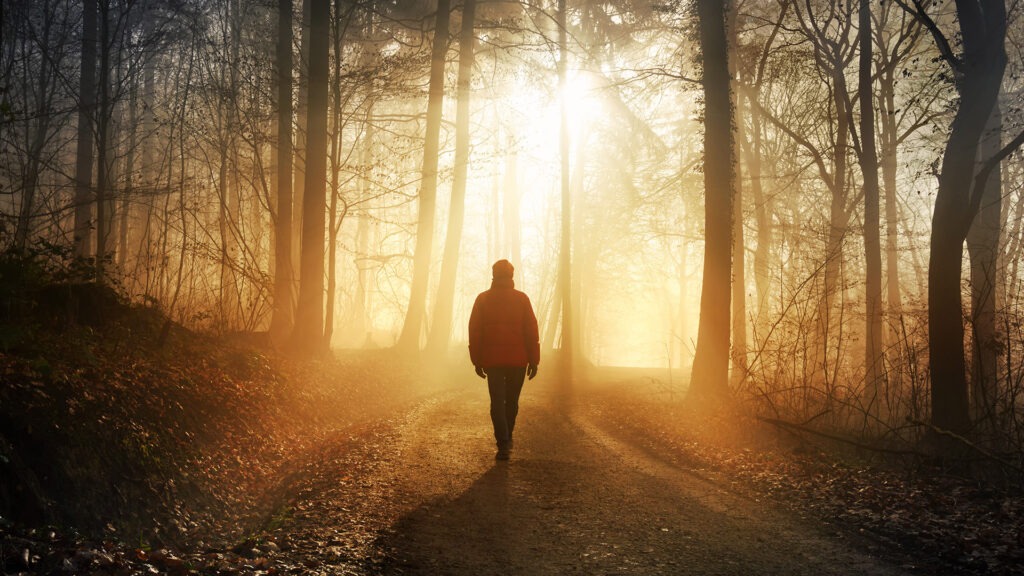 Person walking along a forest path at sunrise, silhouetted by golden light filtering through misty trees
