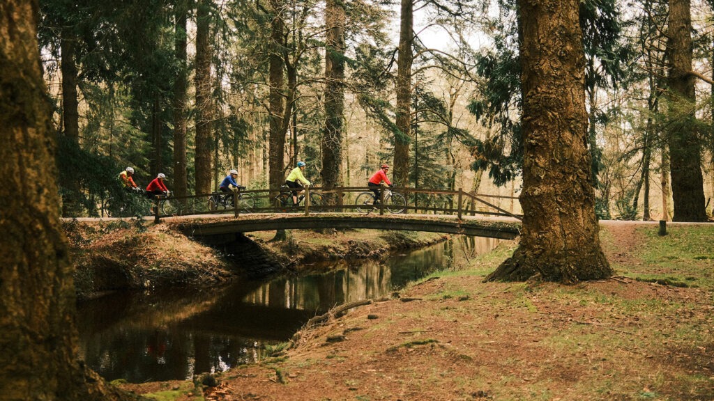 Four cyclists ride across a small wooden bridge over a narrow stream in a wooded park