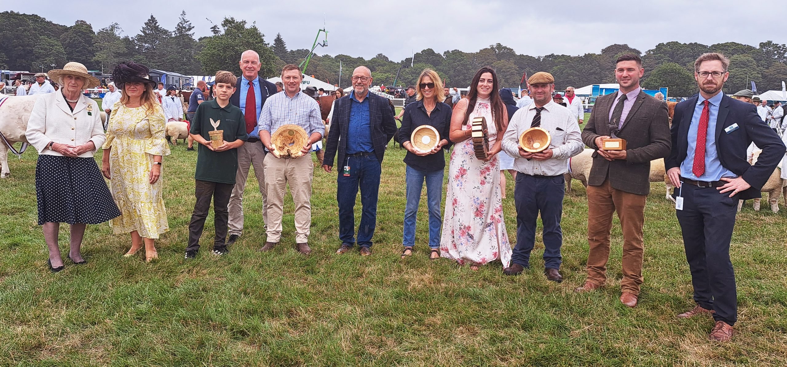 New Forest Awards Winners 2023 in show ring
