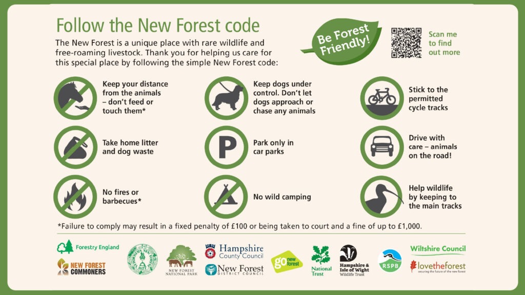 Poster listing the New Forest code: keep distance from animals, control dogs, take litter home, no fires, park in car parks, no camping, stick to tracks