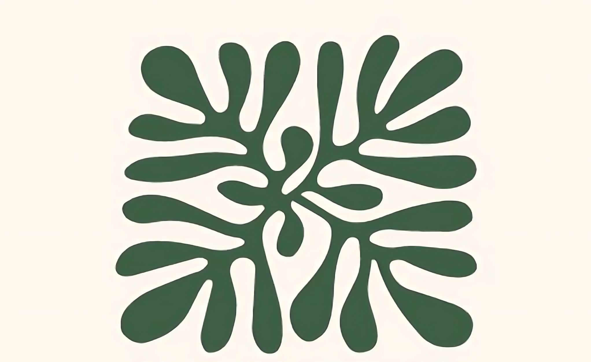 New Forest Collage Radio Artists In Residence