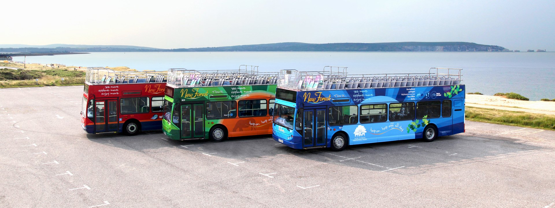 Three New Forest Tour buses, one red, one blue and one green in a coastal car park on a clifftop, the sea glistens in the background.