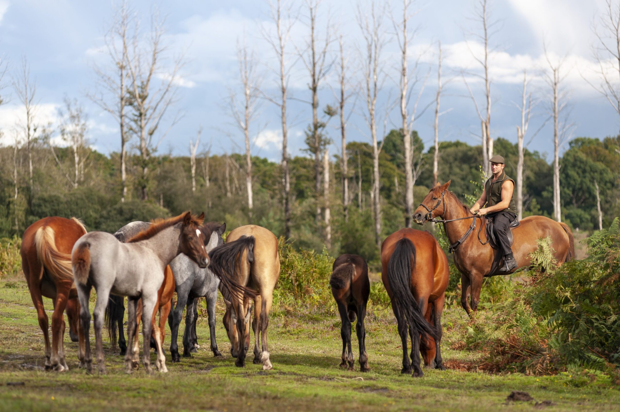 CDA Ordinary People, Extraordinary Commitment