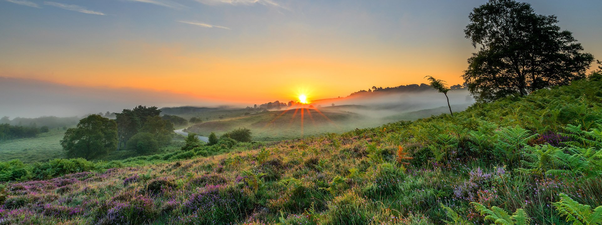 Nick Lucas sunset over heath