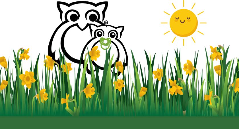 xr:d:DAF_mJBxpQQ:6,j:2094595593932717620,t:24031516