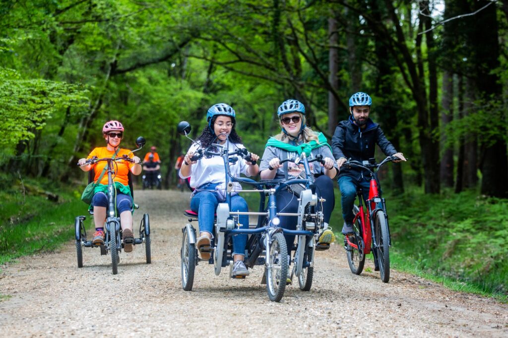 people on bikes on a gravel track in a forest