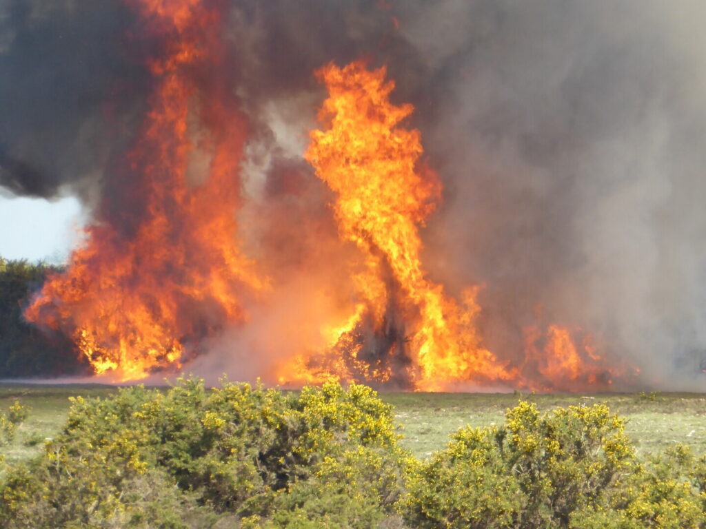 A large blaze and billowing black smoke on an open heathand