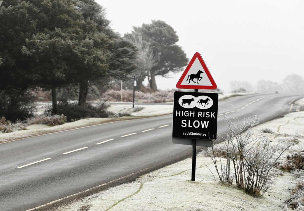 Frosty winter road with New Forest livestock warning sign showing a pony and cattle, reading High Risk Slow #add3minutes