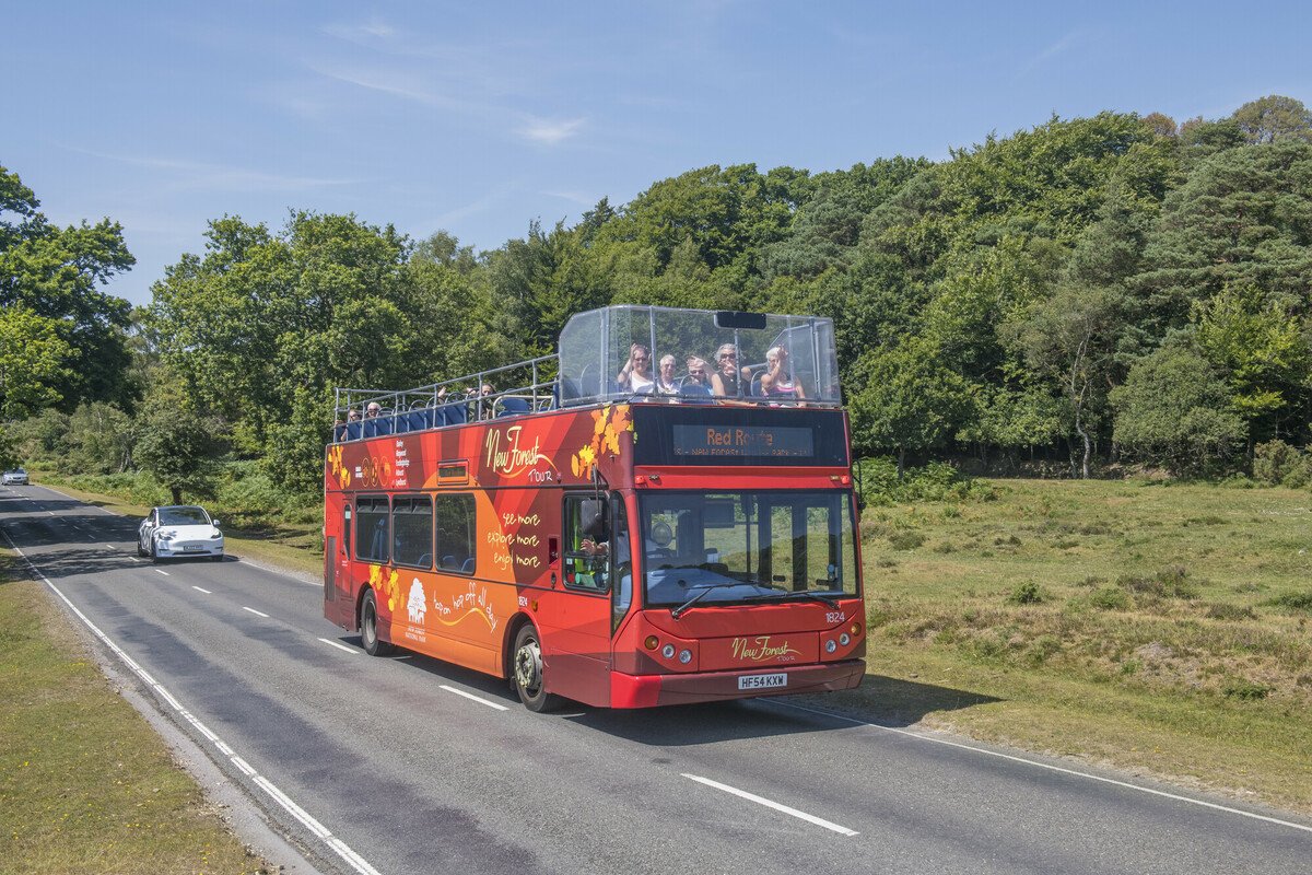 The red New Forest Tour bus on a road