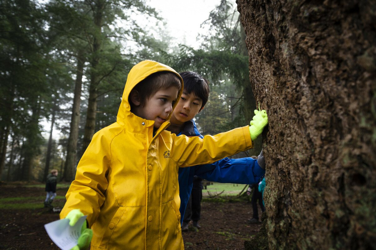 Two primary school boys touching a large tree at Boldrewood Deeer Sanctuary. It is winter and they are wearing big coats and gloves