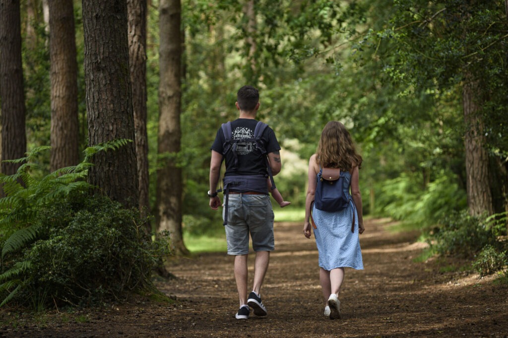 Two people walk among trees on a New Forest trail.