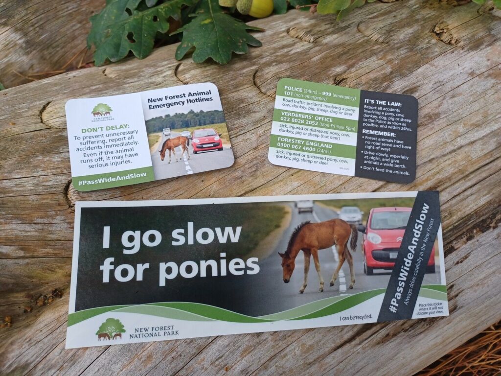 New Forest Animal Emergency Hotline cards and “I go slow for ponies” car sticker on a wooden bench