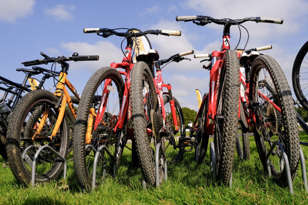 Push bikes lined up on grass