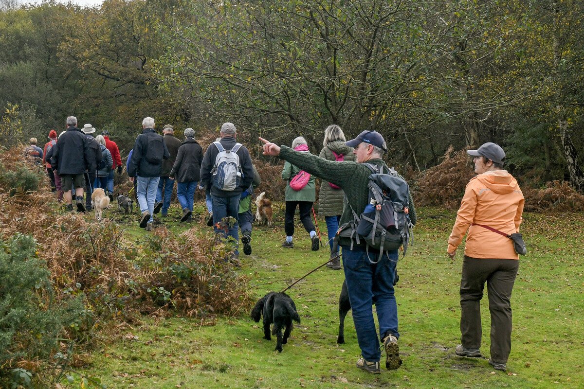 Walkers at the New Forest Walking Festival in 2024.