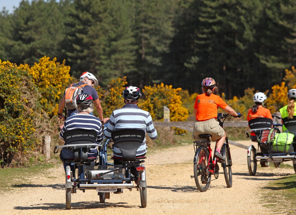Rider with PEDALL - New Forest Inclusive Cycling on a Forest track in the sun using specialised adapted cycles.