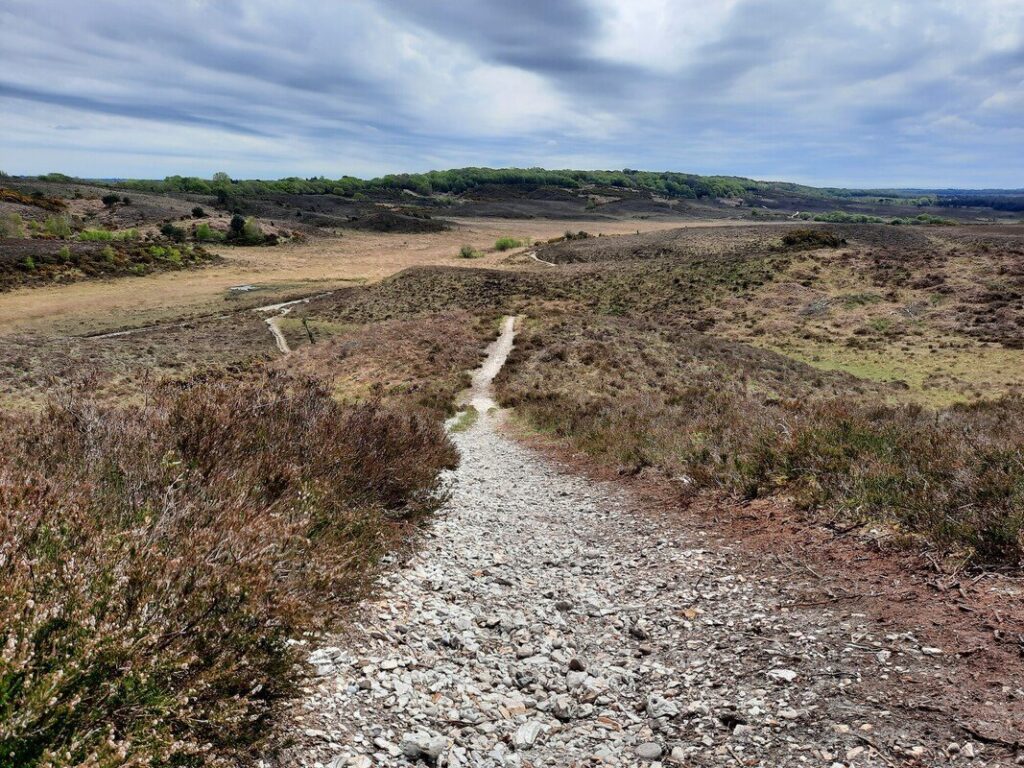 RS18584_Smugglers Road 1_scr