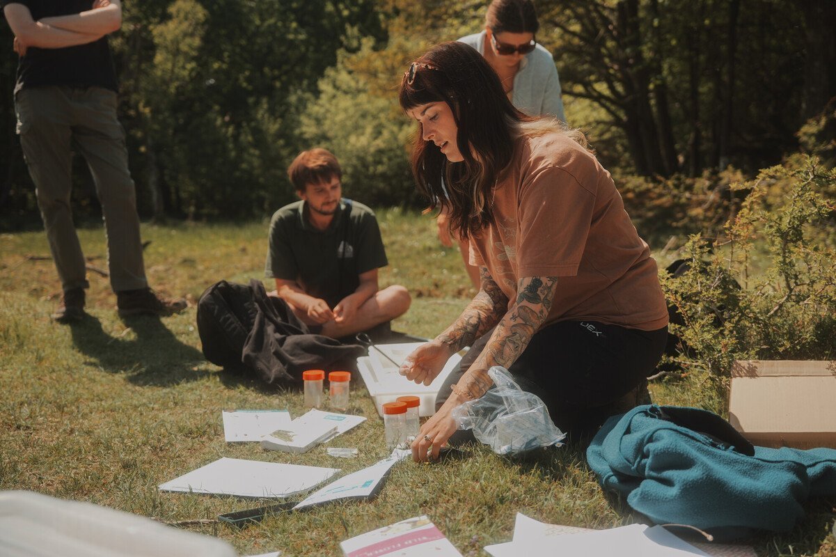 A woman laying out test tubes and information sheets in a grassy area