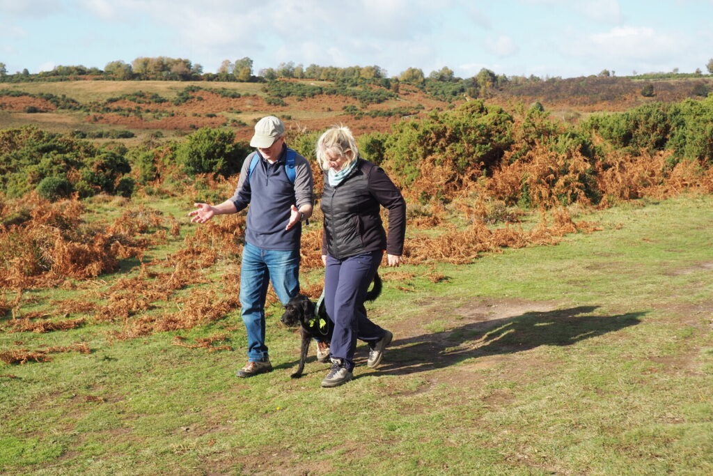 Two hikers walk a black dog along a grassy path in the New forest.