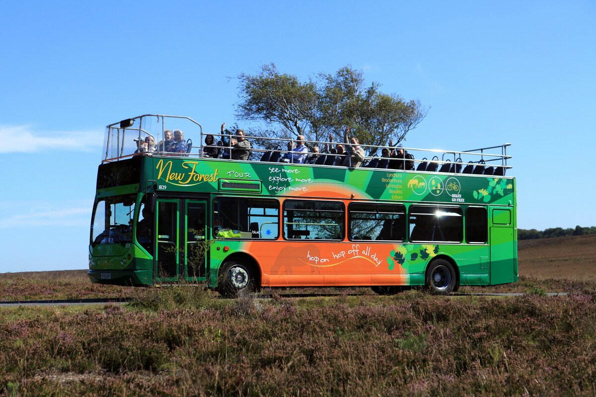 The green New Forest Tour bus on a road through the heathland