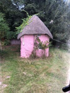 Small pink cottage with a thatched roof, overgrown vines, and two small windows in a grassy yard bordered by trees