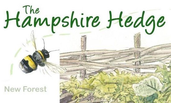 The Hampshire Hedge logo