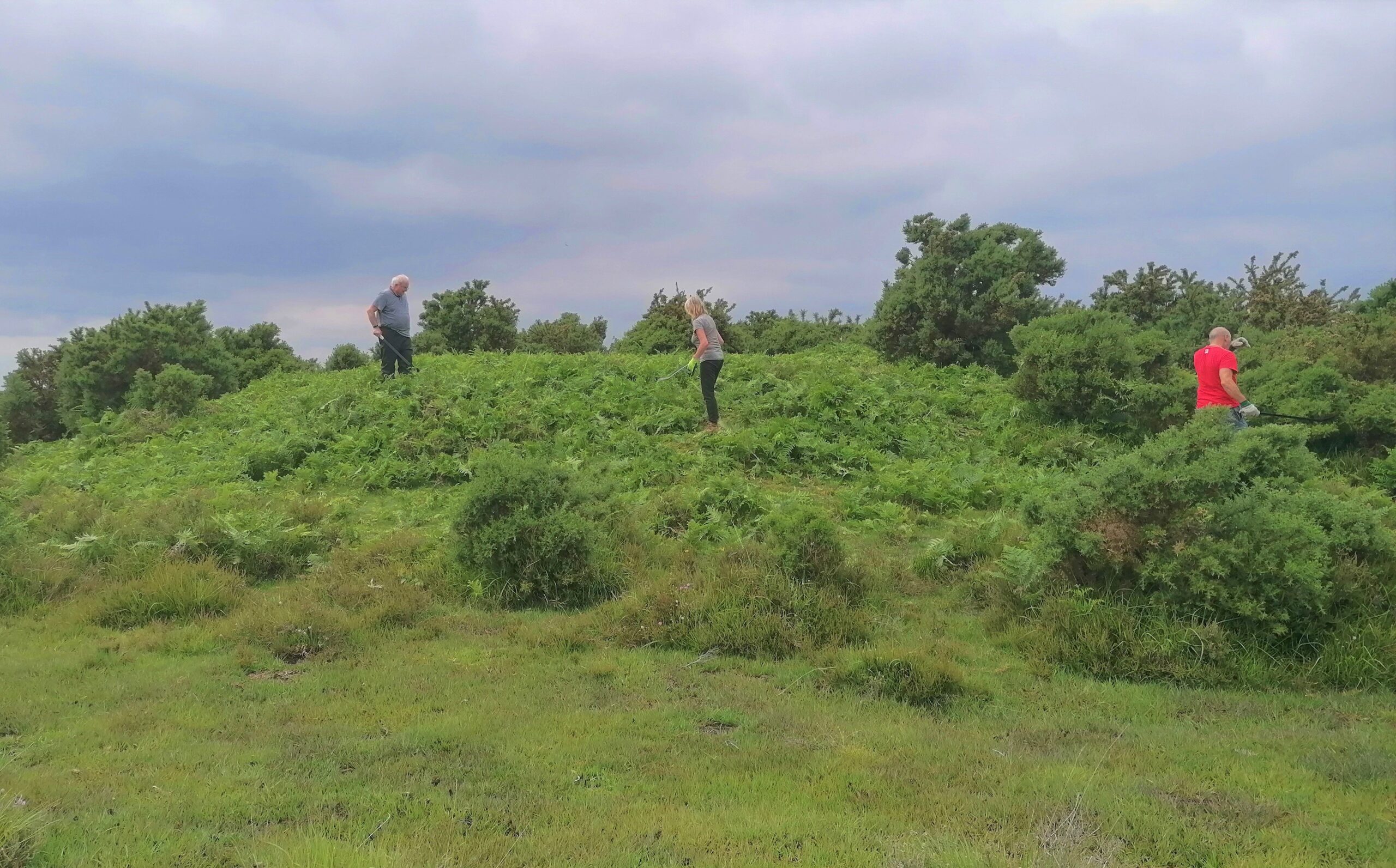 Large mound covered in bracken with volunteers in the distance