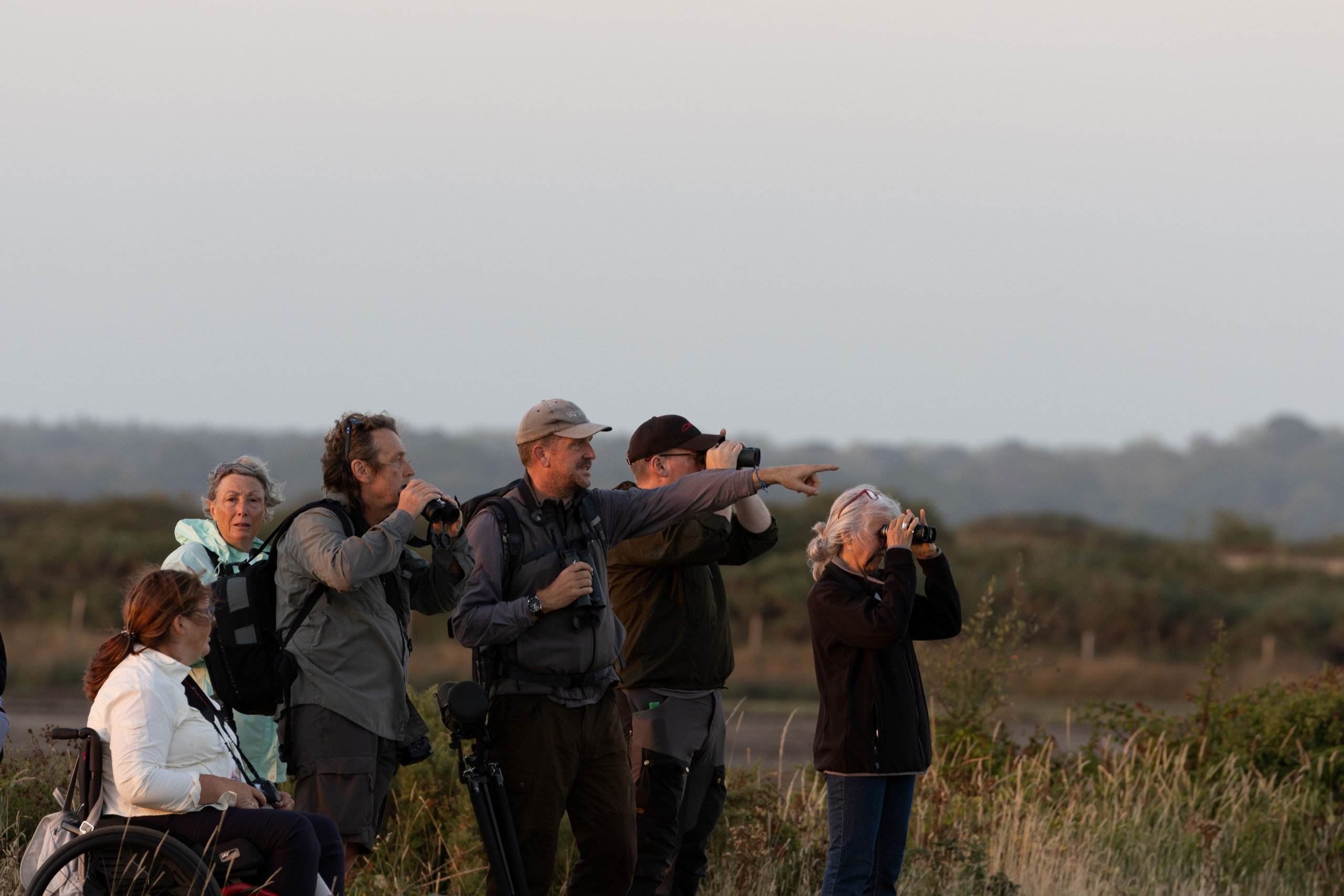 A group of people on the open Forest holding binoculars. They are on a guided Wild New Forest tour