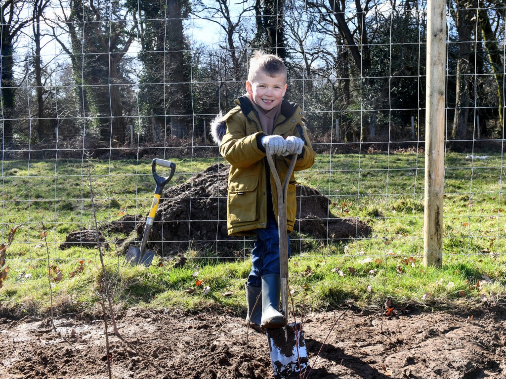 Boy in gloves and wellies stands with a spade by newly planted saplings and soil mound behind a wire fence in a field.