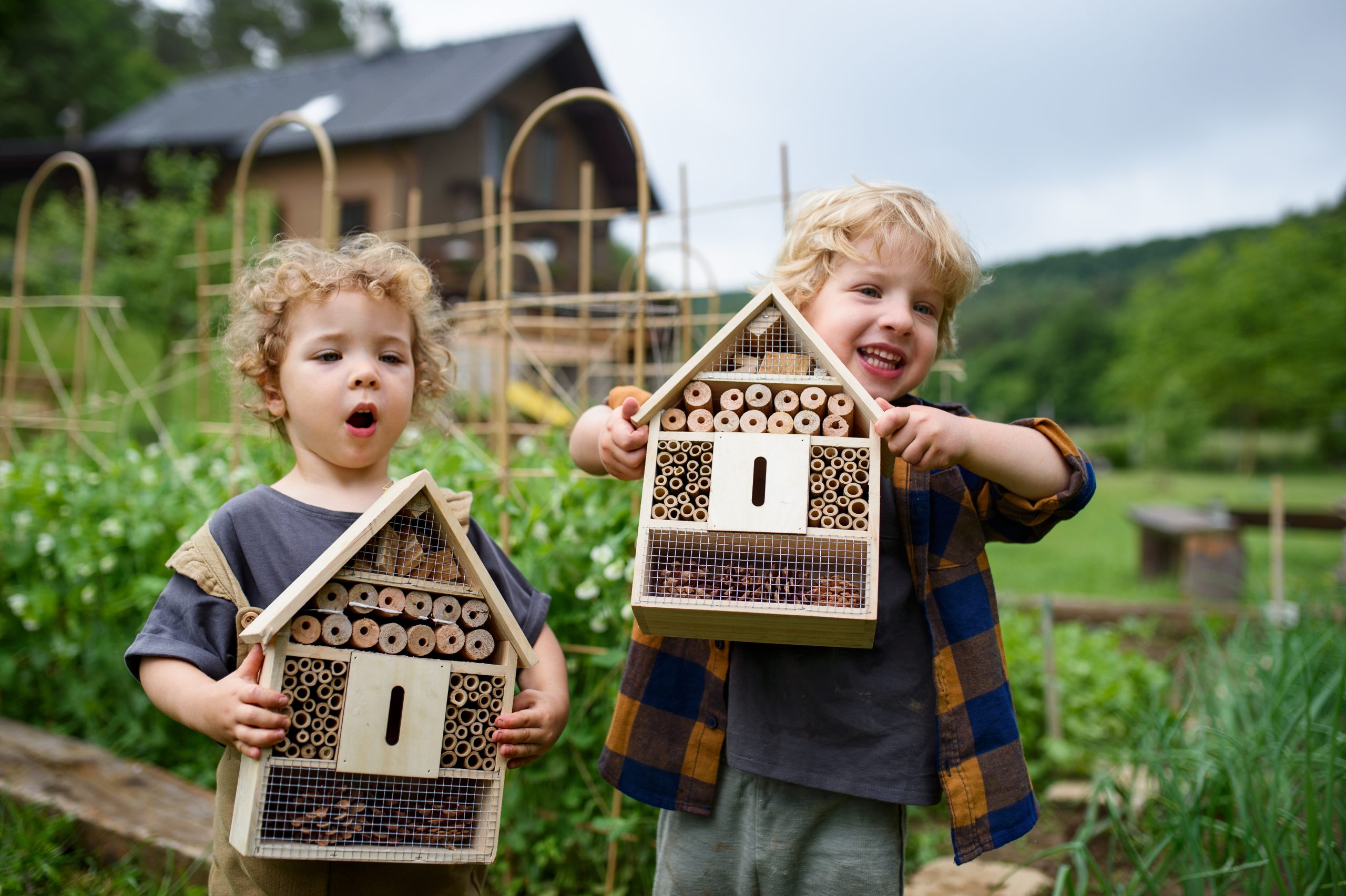 Small,Boy,And,Girl,Holding,Bug,And,Insect,Hotel,In