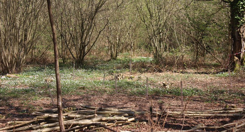 Hythe Information Office