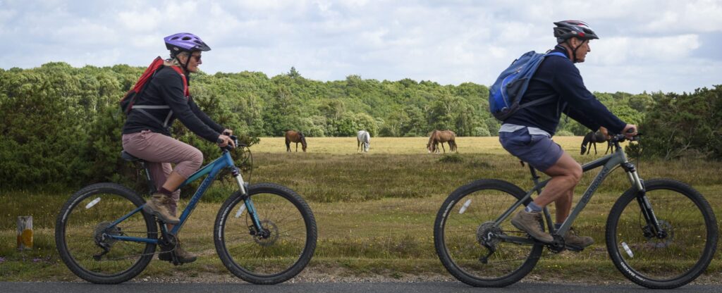 cycling in forest Morten crop
