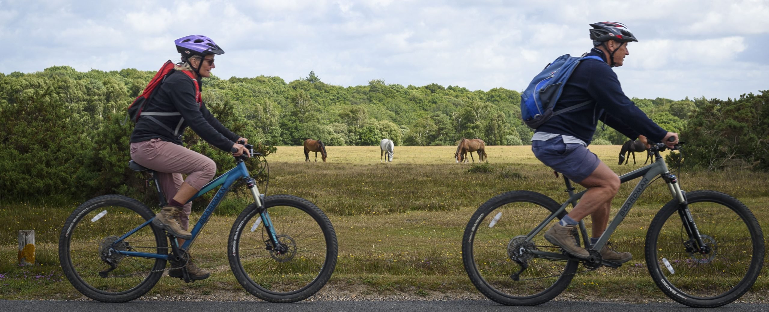 cycling in forest Morten crop
