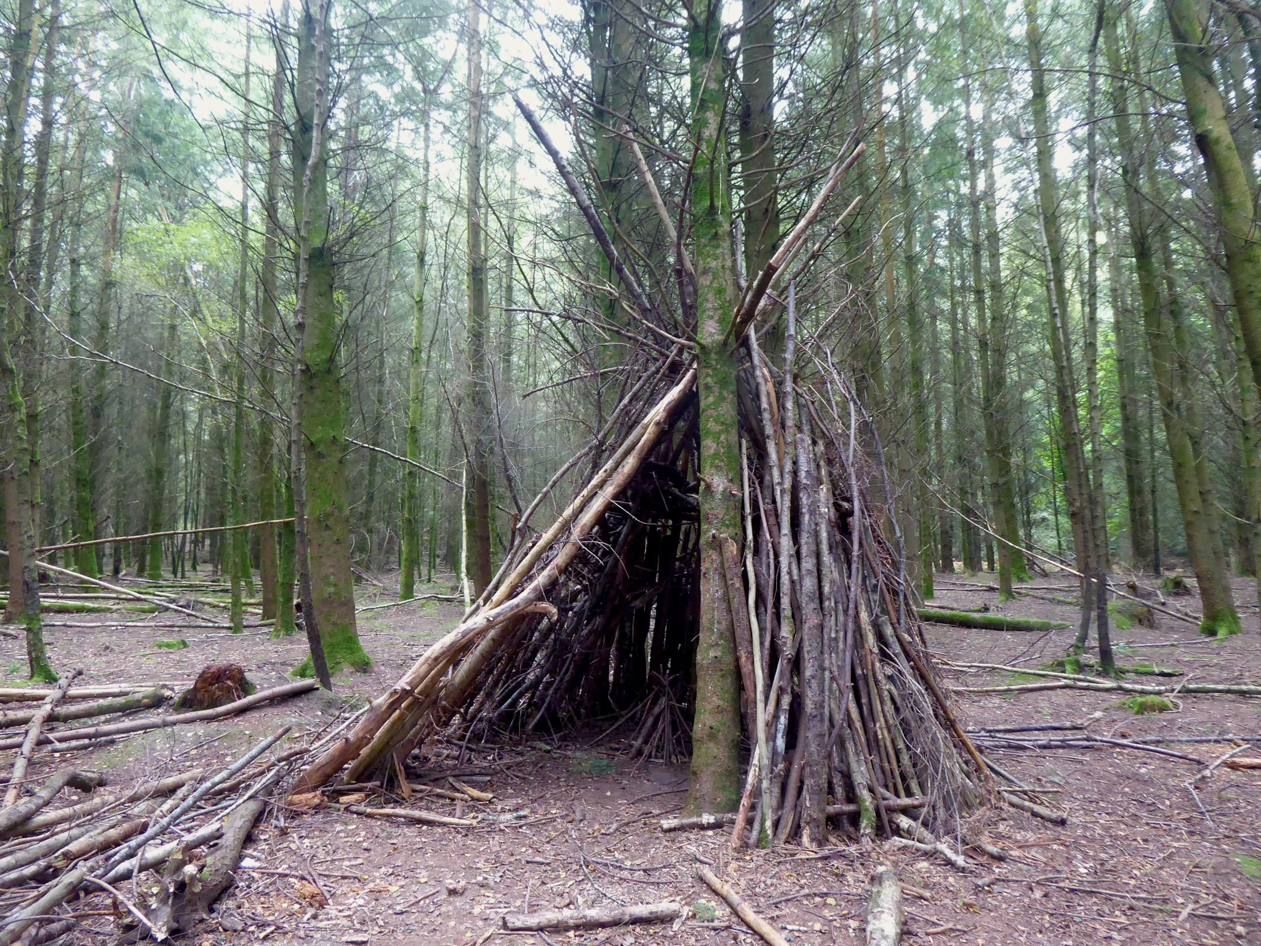A wooden teepee style den in the new Forest