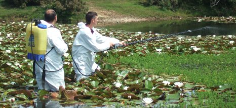 for_web_Contractors_clearing_Parrot_s_Feather_at_East_End