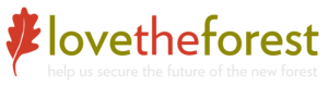 Lovetheforest logo with red leaf icon and the word lovetheforest in green and red text