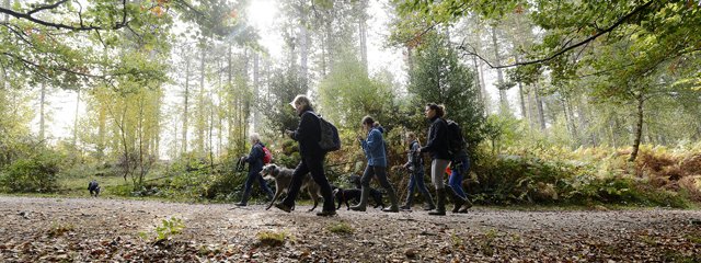 web_pic_Walking_Festival_dog_walk_2016