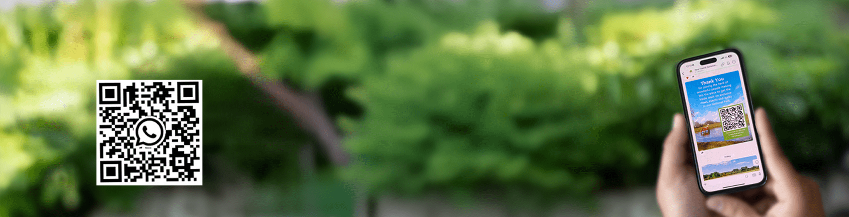 Hand holding a phone with a whatsapp channel on the phone screen.